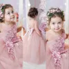2021 Leuke roze bloem meisjes jurken voor bruiloften juweel hals kant applicaties met 3D bloemen tule prinses boog verjaardag kinderen meisje pageant jassen