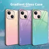Hartowane szkody szklane na telefon iPhone 13 Pro Max 12mini 11 XR XS X 6 7 8 Plus Case Gradient Color Soft TPU Back Cove Sutable for Samsung