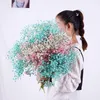 装飾的な花の花輪の自然な新鮮な乾燥保存gypsophila Paniculata、赤ちゃんの息の花の花束の結婚披露宴の装飾