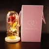 Romantik Ewiges Leben Blumenglas Cover Schönheit und Biest Rose LED Batterie Lampe Geburtstag Valentinstag Präsentieren Muttergeschenke WHT0228