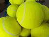 24 cm großer aufblasbarer Tennisball, riesiges Haustierspielzeug, Kauspielzeug für Hunde