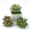 Couronnes De Fleurs Décoratives Simple Simulation En Plastique Plante Succulente Gemme Poilue Lotus Vert Bouteille Fleur Maison Intérieur Bureau Décoration S