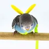 2m Anti Anti Mordida Voando Treinamento Rope Papagaio Ultralight Harnesses Faixa Suave para Pequeno / Médio Ave Pet Fontes