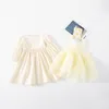 Primavera stile coreano Little Princess Layered Dress 2 pezzi set Neonate Fashion Cute manica lunga abiti da festa di compleanno 210331