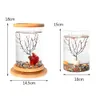 1 pz mini vetro base in bambù serbatoio ruota decorazione ciotola per pesci bottiglia ecologica accessori per acquario274q