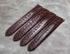 Echte alligator riem lederen bands horloge accessoires 18mm 19mm 20mm 21mm 22mm vlinder gesp zwart bruin