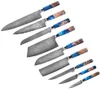 Kitchen Chef Knife Sets Damascus 67 Layers VG10 JapaneseSharp Chef Santoku Utility Butcher Knife Fillet Cleaver Knife Resin Wood H4949251