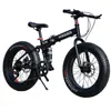 bicicleta dual