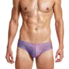 Badkläder Män Stripe Printing Baddräkt Simning Briefs Låg midja Baddräkt Sommar Mäns Swim Trunks Quick-Torka Beachwear 210515