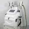 Draagbare cryolipolyse lichaam afslankapparaat cryo lipolyse gewichtsverlies ultrasone cavitatie lipo laser vet reductie cellulitis verwijdering schoonheidsmachine spa gebruik