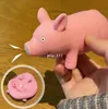 Lala varken geattesteerde hondgeknepen decompressie vent speelgoed voor vriendin