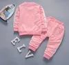 Ensemble de vêtements pour bébés garçons et filles, veste de Sport en coton, pantalon, 2 pièces, Costume à la mode, survêtement pour enfants, printemps-automne