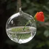 Novelty Items 27pcs/pack Diameter 12cm Middle Size Hanging Glass Terrarium Vase Home Decoration Creative One Small Hole Globe Wedding Prop