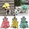 Hundkläder små kläder Yorkshire terrier klänningar för hundar kläder flicka husdjur klänning kjol tillbehör