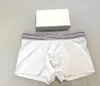 Boxer en coton pour hommes, sous-vêtement de luxe classique arc-en-ciel, confortable et respirant, de haute qualité, avec boîte