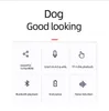 Bluetooth högtalare Dog Head Bulldog Gift Decoration Wireless Animal M11 Card Insert M10 Cartoon M8 HiFi Subwoofer Audio Creative