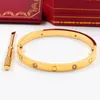 Brand Love Screw Bangles 316l Steel Cz Stone Screwdriver Carter Bracelets for Women Men Love with Original Bag2222