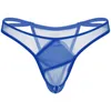 Roupa de banho masculina Lingerie masculina Tanga Cueca Calcinha transparente Cintura baixa Cueca transparente de gaze Cintura elástica Fio dental