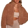 Femmes Fourrure Faux Dames Polaire Manteau Femmes Manteaux En Peluche Cardigan Veste Courte Agneau Fermeture Éclair Mince Femmes