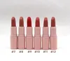 Rouge à lèvres rose mat, teintes longue durée, facile à porter, naturel, 12 couleurs, maquillage, vente en gros, Stick5046019