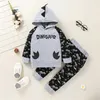 2021 Nieuwe Boys Tracksuit Pak Baby Meisjes Jongen Dinosaurus Hooded Sweatshirt + Broek Outfits Set Peuter Zuigeling Kleding Sets Ropa Sale G1023