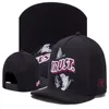 أبناء Cayler No Days Days Tree Snapback Hats Sunscreen Baseball Caps Men أو Women Sport Casquette Bone Aba Reta268z
