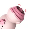 H N mini linda decoração de bolso bonito língua de porco lamber vibradores para mulheres clitóris anal massageador de mamilo brinquedos sexuais femininos adultos pro5516138