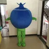 Costume della mascotte del mirtillo di Halloween Personaggio dei cartoni animati di frutta di alta qualità Personaggio a tema anime Formato adulto Carnevale di Natale Festa di compleanno Vestito operato