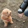 Dog Obroże Smycze Automatyczne Smycz Darmowe Ręki Pudel Bichon Schnauzer Prowadzi Dostarcza Cat Outing