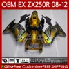 Injeção OEM para Kawasaki Ninja ZX-250R EX250 ZX250 R ex zx 250R 2008-2012 corpo 81NO.202 EX-250 ZX250R 08 09 10 11 12 EX250R Gold Flames 2008 2009 2010 2011