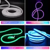 Remsor LED Neon Light EU 220V Waterproof WiFi Bluetooth Control Ribbon Tape Flexible 2835 Strip Stripled Stripled