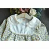 Enfants filles grille robes pour filles robes de princesse printemps automne bébé enfants fille robe à manches longues robe 2-6 ans G1215