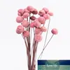 Couronnes De Fleurs Décoratives 30PCS Fleur De Botton Séchée Naturelle, Branche De Fleur D'affichage Pour La Décoration De Salle De Fête À La Maison De Bricolage Et De Mariage Prix Usine expertDecor Bi