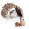 Suprimentos para animais pequenos Brinquedo de hamster para diversão Forte promover a digestão intestinal Kit de ramo molar para mastigar 12 pçs/conjunto