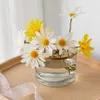 Nordic Einfache Kreative Hause Blume Anordnung Vase Dekorative Tasse Dekoration Wohnzimmer Glas Pflanze Vasen Tabletop Hydroponische 210623