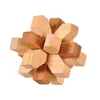 2021 IQ Casse-tête Kong Ming Lock 3D En Bois Verrouillage Burr Puzzles Jeu Jouet Pour Adultes Enfants