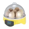 Mini 7 Ovos Incubadora Brood Machine para Chicken Duck Bird Ovo Hatcher Automatizado Controle de Temperatura Incubadora Brooder