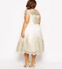 레이스 Applique 플러스 사이즈 댄스 파티 드레스 캡 슬리브 스퀘어 넥 라인 A 라인 공식 드레스 차 길이 얇은 명주 그 이브닝 가운