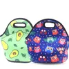 50Pcs Neoprene Lunch Bag For Women Owl Pattern Lunch Bags Picnic Handbag with Tableware Pocket Children Snacks for Women Kids