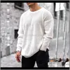 Suéteres Ropa para hombre Entrega directa 2021 Moda para hombre Otoño Invierno Manga larga Cuello redondo Colores sólidos Suéter de punto Suéter suelto para