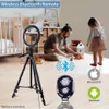 LEDセルフィーリングライト26cm POリングライト電話BluetoothリモートランプPography Tripod Holder YouTube Video2220K7897890