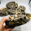 Natural Dragon Septarian Crystal Asbak Hart Minerale Specimen Genezing Willekeurige Grootte Hand Gesneden Gepolijste Septaria Nodule Septarium Quartz Gode Stone Bowls 5kg