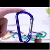 Hooks rails opslag huishoudelijke organisatie huizen tuin drop levering 2021 karabiner ring sleutels sleutelhangers key chains outdoor sport camp snap cl