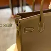 fashion Handbag Handbag 2024 designer Bags Handbags berkkins Platinum Classic Status Questioned Luxury hands bag shoulder VR0U