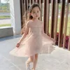 Dziewczyna Sukienki Mesh Cute Dress Girls Tulle Princess Sukienka Dla Dzieci Dzieci Koronki Ubrania 2-8y Q0716