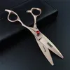 first scissors