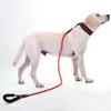 Laisses de chien durables réfléchissantes en térylène de 1,5 M/2 M/3 M, formation, course à pied, collier pour chiens de taille moyenne et grande, laisse pour Labrador Rottweiler, corde de plomb souple rembourrée