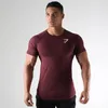 T-shirt masculino esportes de verão de mangas curtas tops de secagem rápida treinamento respirável compressão movimentando collants academia fitness tracksuit