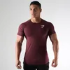 Erkek T-shirt Yaz Spor Kısa Kollu Hızlı Kurutma Eğitim Nefes Sıkıştırma Koşu Tayt Spor Salonu Spor Eşofman