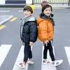 معطف الأطفال الشتاء النسخة الكورية من الصبي وفتاة وزرة الخفافيش الأكمام الكرتون القطن أسفل الملابس سترة الخريف